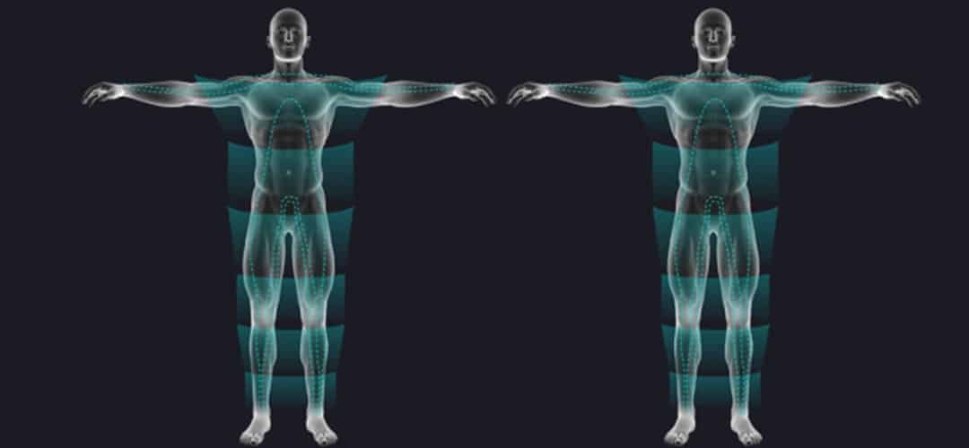 what is body composition